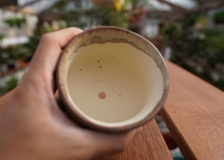 關まどか pot NO.7-7 F
