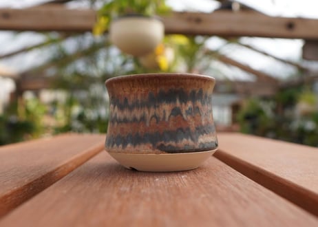 關まどか pot NO.7-7 F