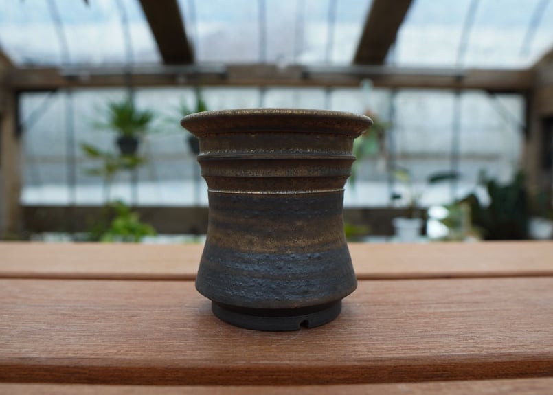 保田修作 pot No.29 | mana's farm:塊根植物・アガベ・ドライガーデン植