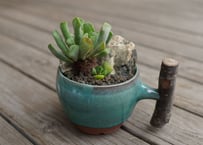 Soulabo x mana's farmn AGAVE-ZERO Black & Blue