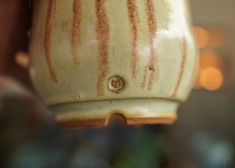 YM pot  NO.10
