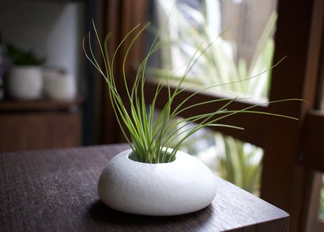 植木鉢 　ペブル　ウォールハンギング　11W
