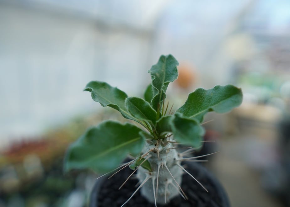 64531611ebcaaf002b7472db