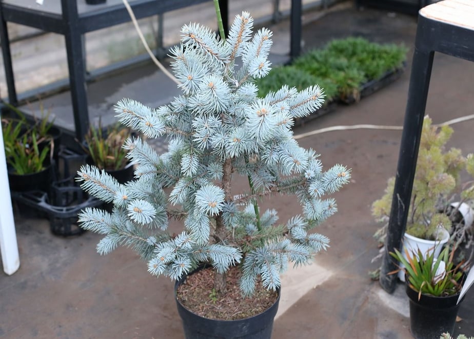 5e4fa55fcf327f113bc585b1