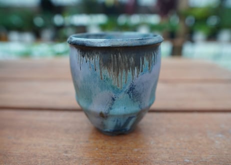 CATEGORY 神田知広 | mana's farm:塊根植物・アガベ・ドライガーデン