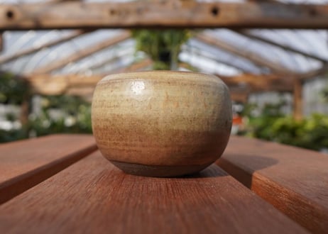 關まどか pot NO.17-1