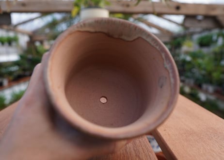 關まどか pot NO.10-5　Ｇ