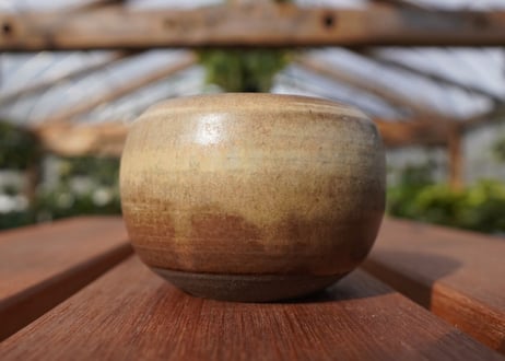 關まどか pot NO.17-1