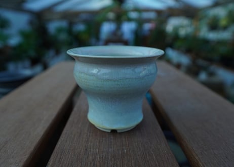 持木祐一 pot  No.38