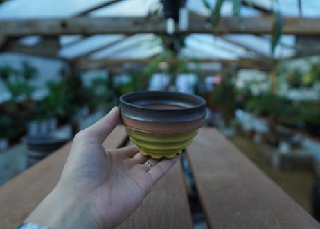 持木祐一 pot  No.48