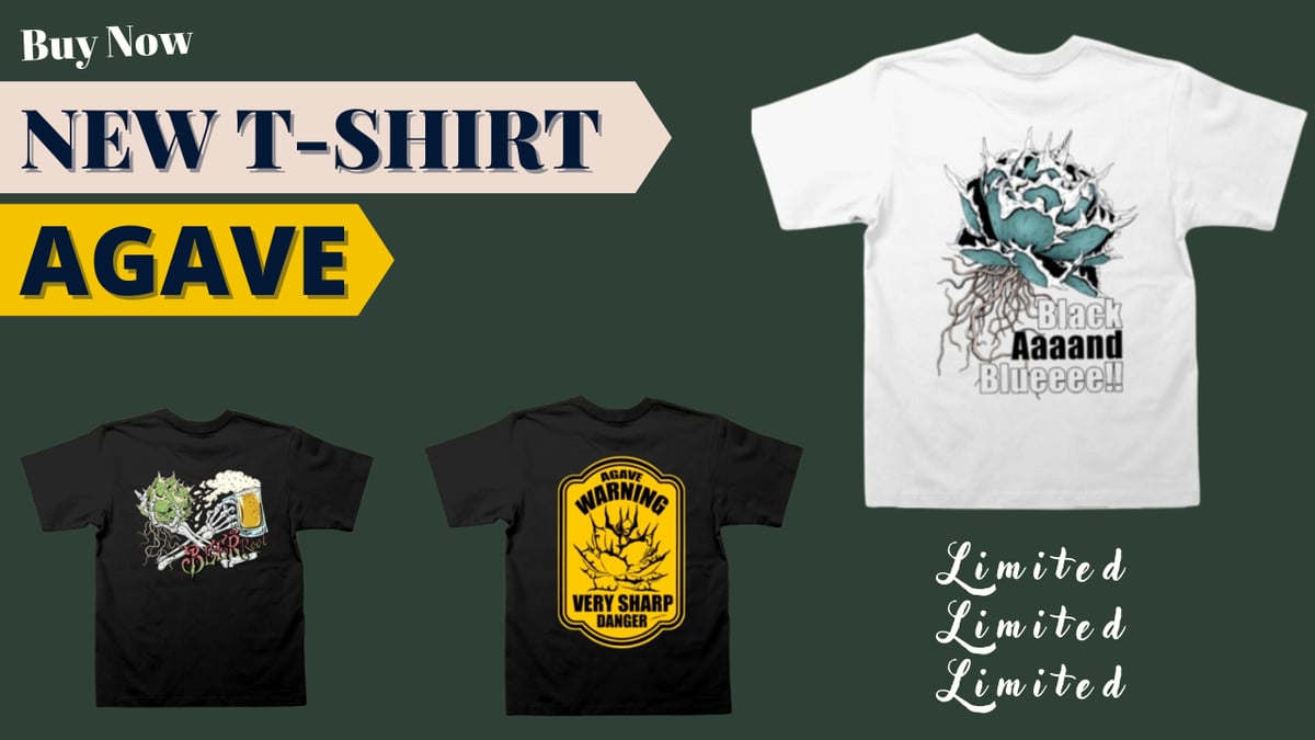 fit=pad,format=jpeg,w=1200