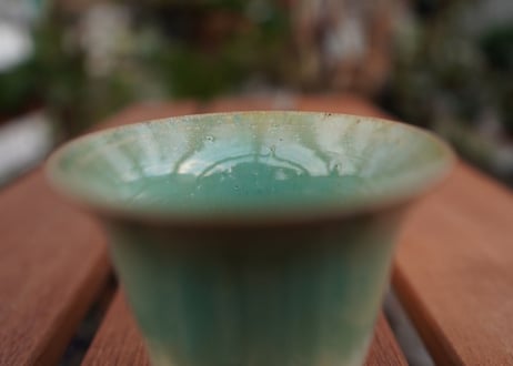 持木祐一pot NO.20