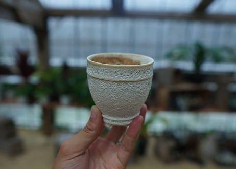 Muddy Punk pot No.19