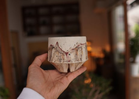 沼野秀章 pot No.21