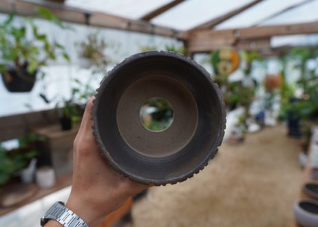 保田修作  pot No.5