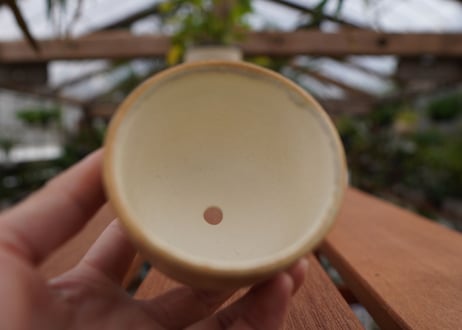 關まどか pot NO.1-6　F