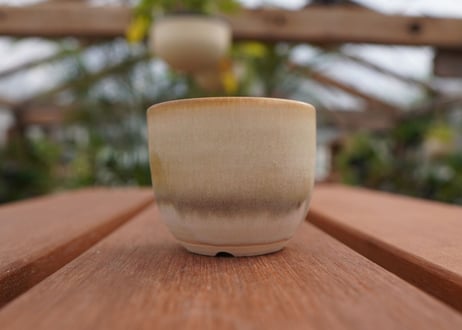 關まどか pot NO.1-6　F