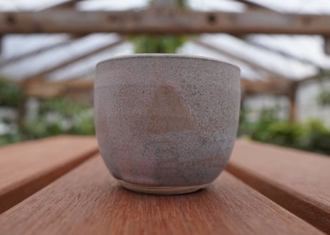 關まどか pot NO.30-5 F