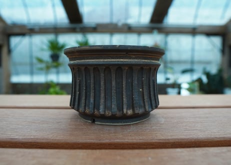 保田修作  pot No.74