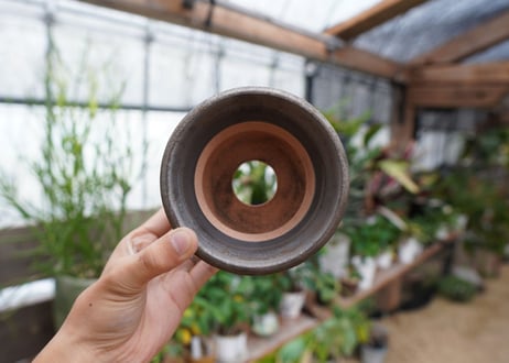 保田修作  pot No.11