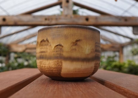 關まどか pot NO.21-5　F