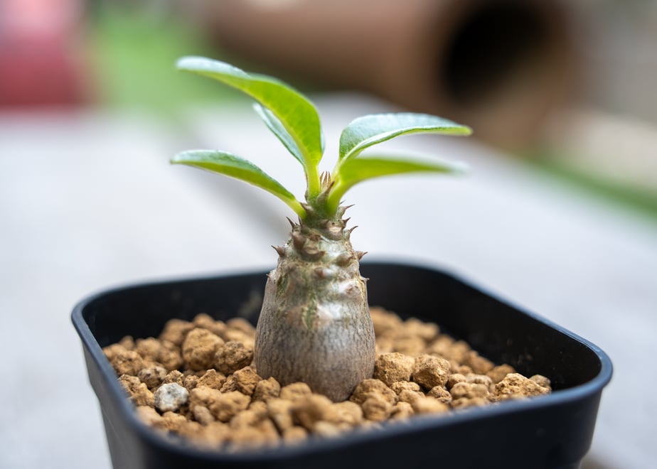 6729b9725ab45e02e3311bde