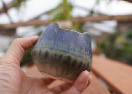 關まどか pot NO.3-3　Ｇ