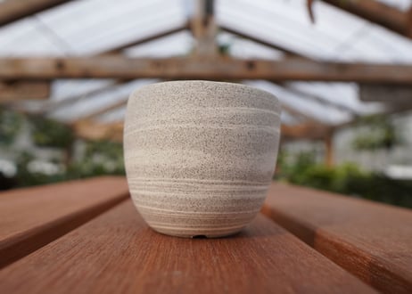 關まどか pot NO.22-3 F