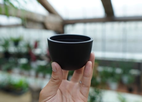 Maceta Bowl Mid