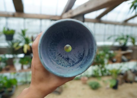 神田知広pot No.7