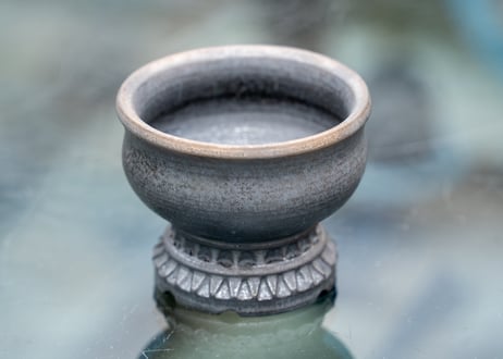 molle épine pot No.4