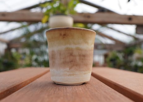 關まどか pot NO.6-4　F