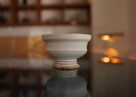 molle épine pot NO.13