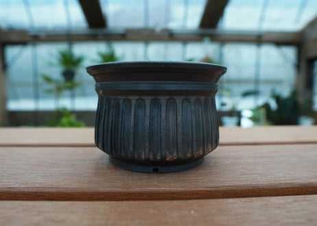保田修作  pot No.66