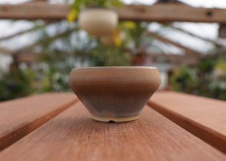 關まどか pot NO.4-3