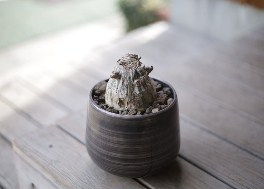 60519dd1c9e02c3f07c2ad34