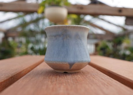關まどか pot NO.5-14　F