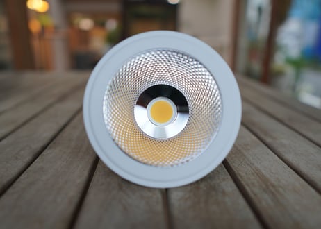 冬の徒長と根腐れを防ぐ！ 植物育成LED