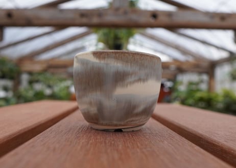 關まどか pot NO.30-3
