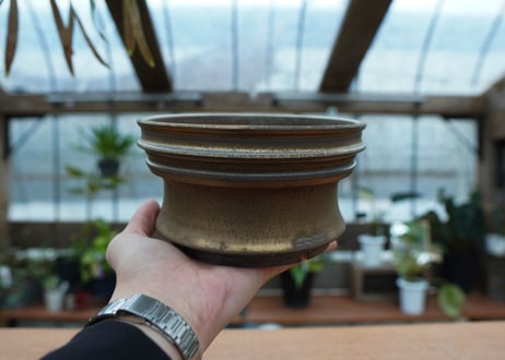 保田修作  pot No.45