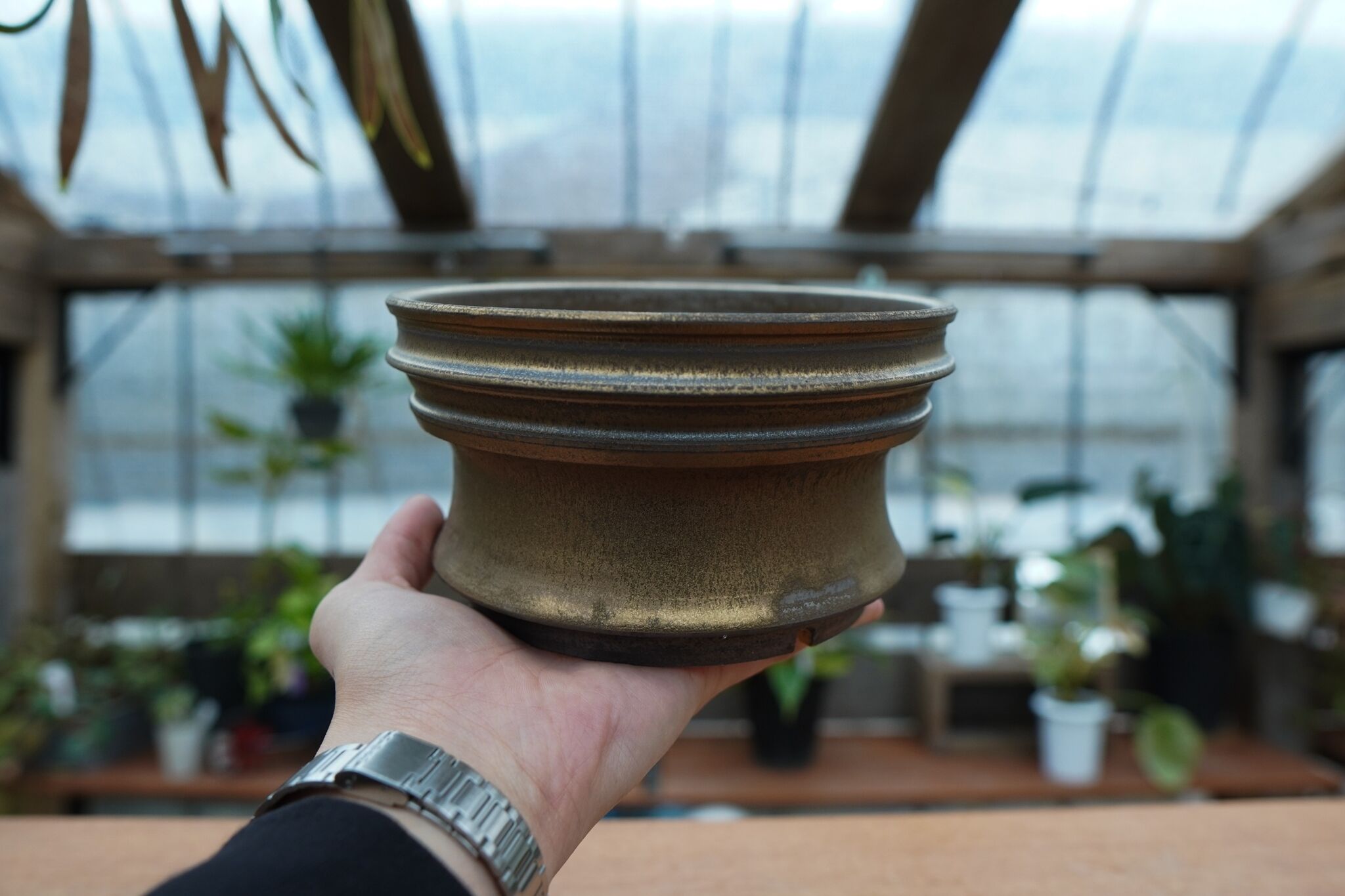 保田修作 pot No.45 | mana's farm:塊根植物・アガベ・ドライガーデン植