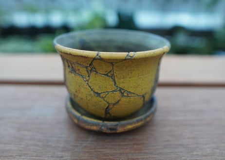 hechicami pot NO.13
