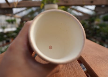 關まどか pot NO.6-10