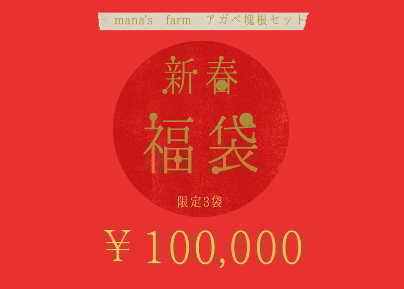 アガベ塊根セット 福袋 限定3袋 | mana's farm:塊根植物・アガベ