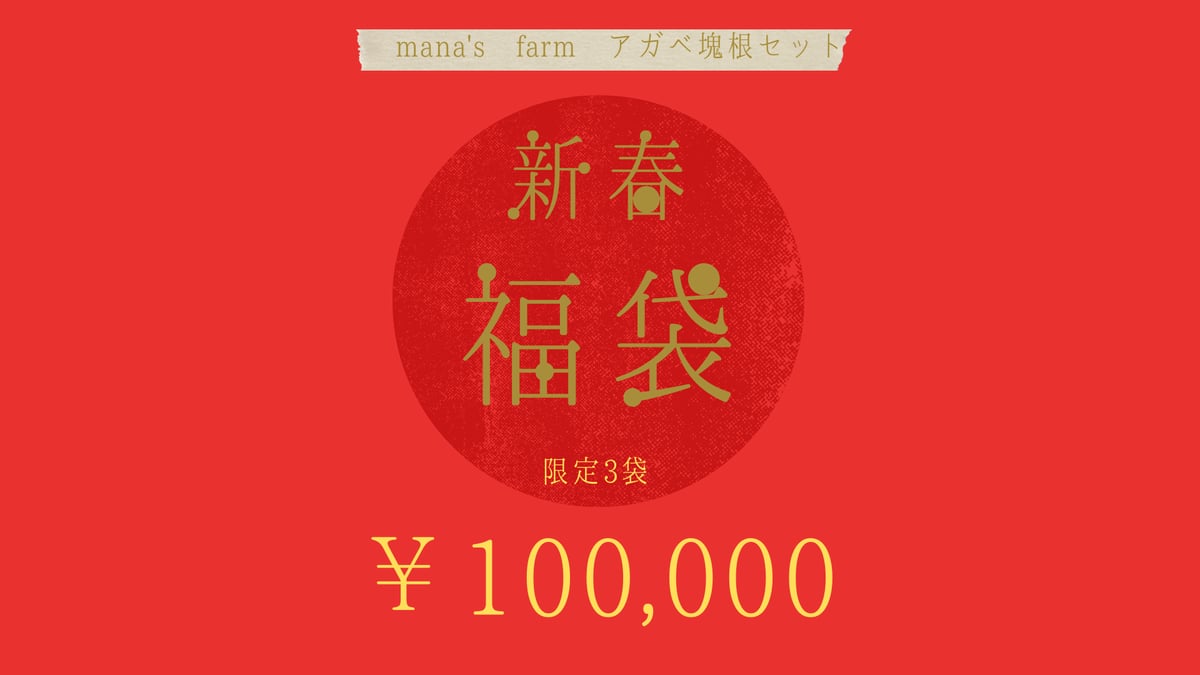 アガベ塊根セット 福袋 限定3袋 | mana's farm:塊根植物・アガベ