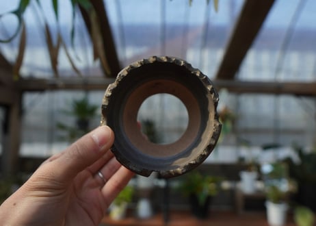 保田修作  pot No.11