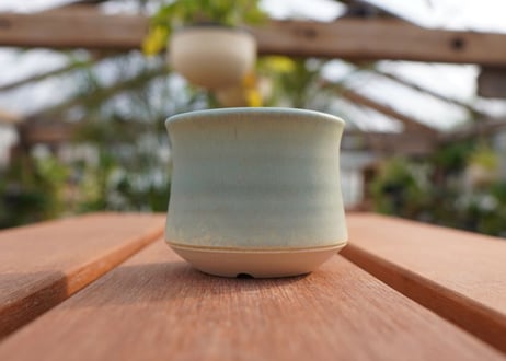 關まどか pot NO.5-6　Ｇ