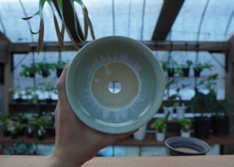 持木祐一 pot  No.41