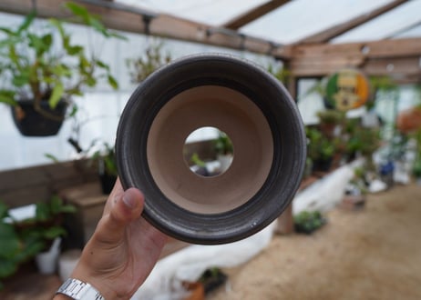 保田修作  pot No.17