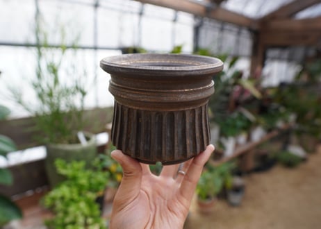 保田修作  pot No.17